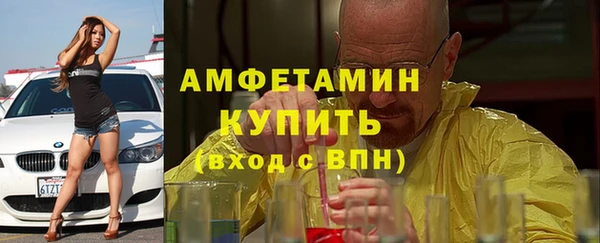 молекула духа Ельня