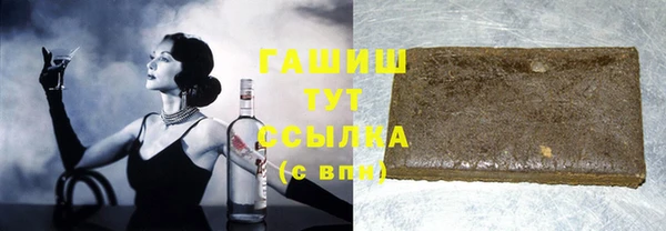 молекула духа Ельня
