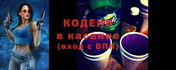 молекула духа Ельня