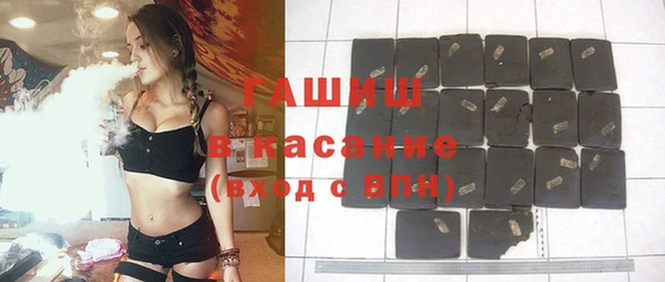 молекула духа Ельня