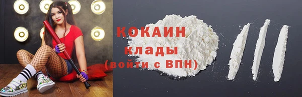 молекула духа Ельня