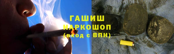 молекула духа Ельня