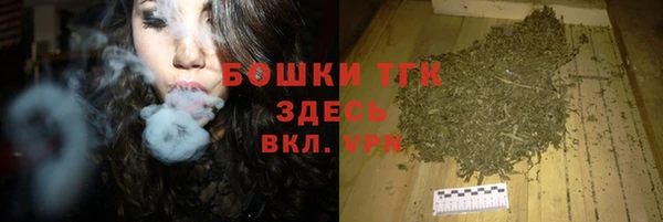 spice Тайга
