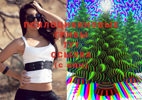 наркотики Тавда