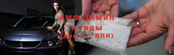 молекула духа Ельня