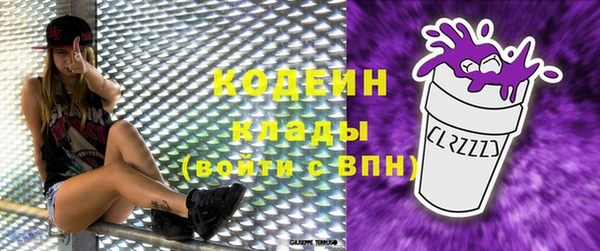 МДПВ Елабуга