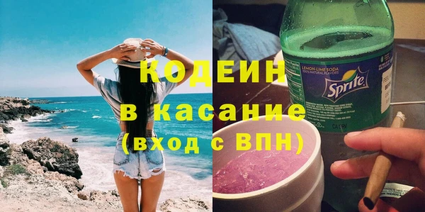 молекула духа Ельня