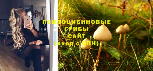 МДПВ Елабуга