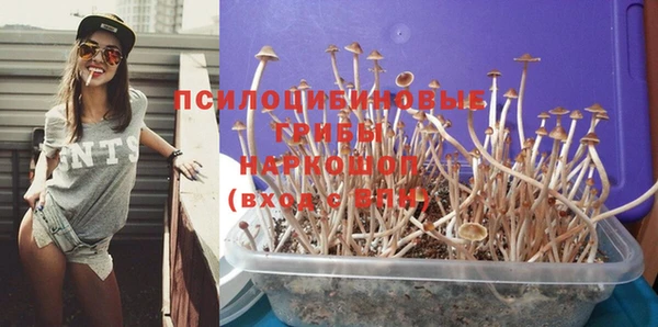 МДПВ Елабуга