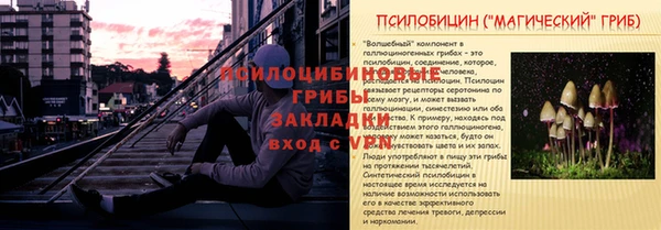 молекула духа Ельня